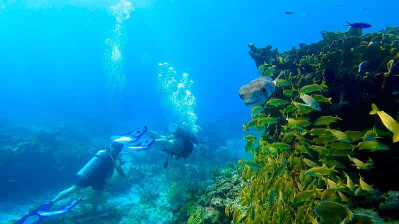 Cancun: Cancún Underwater Museum & Manchones Diving Trip | GetYourGuide