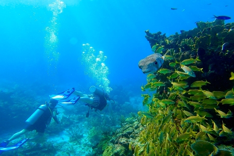 Cancún: Buceo para certificados en MUSA & Arrecife