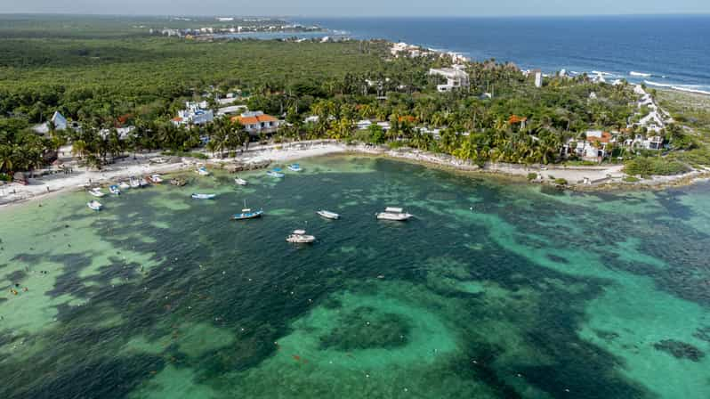 Riviera Maya: Turtles Encounter At Akumal Beach 