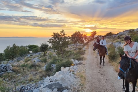 Podstrana: Guided Horseback Riding Experience