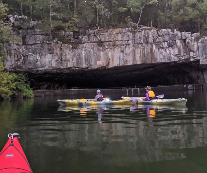 South Pittsburg: Guided Nickajack Bat Cave Kayaking Tour