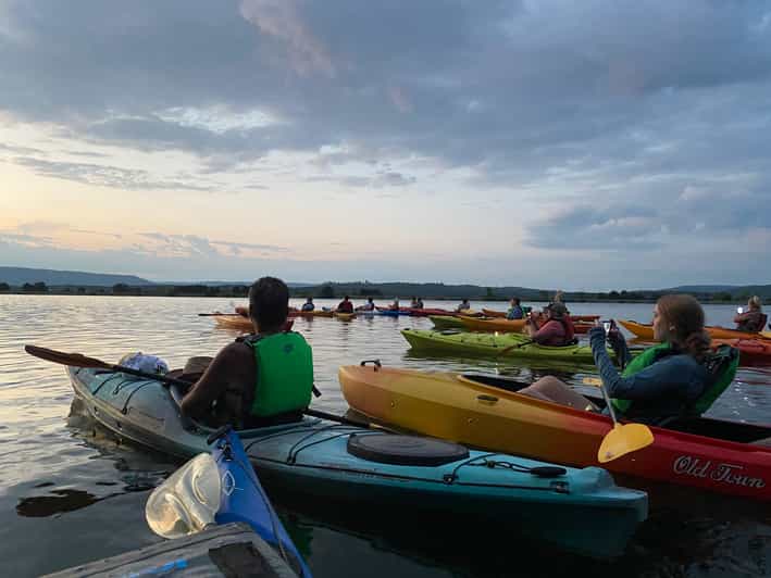 South Pittsburg Guided Nickajack Bat Cave Kayaking Tour GetYourGuide