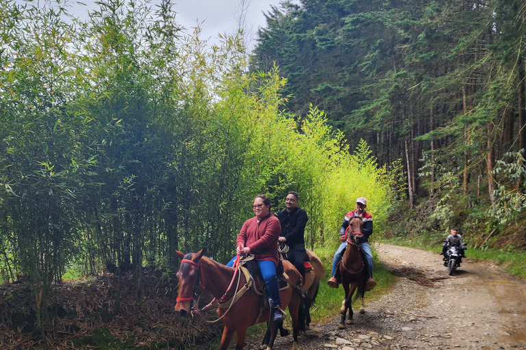 Paseo a caballo por el horizonte de la ciudad con campamento de bomberos y cabaña en el bosquePaseo a caballo por el horizonte de la ciudad con campamento de bomberos y cavin forestal