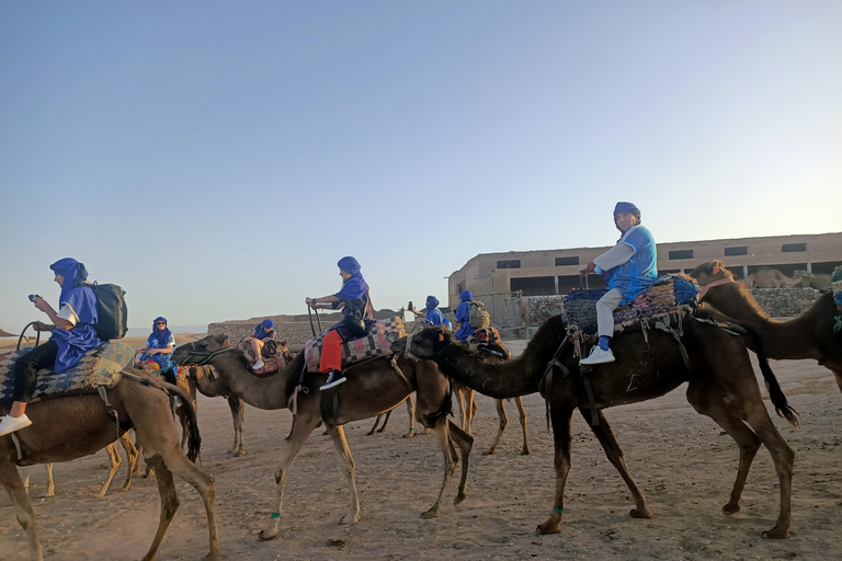 Quad Bike &amp; Camel Ride Agafay Desert With LunchQuad Bike Or Buggy &amp; Camel Ride Agafay Desert With Lunch