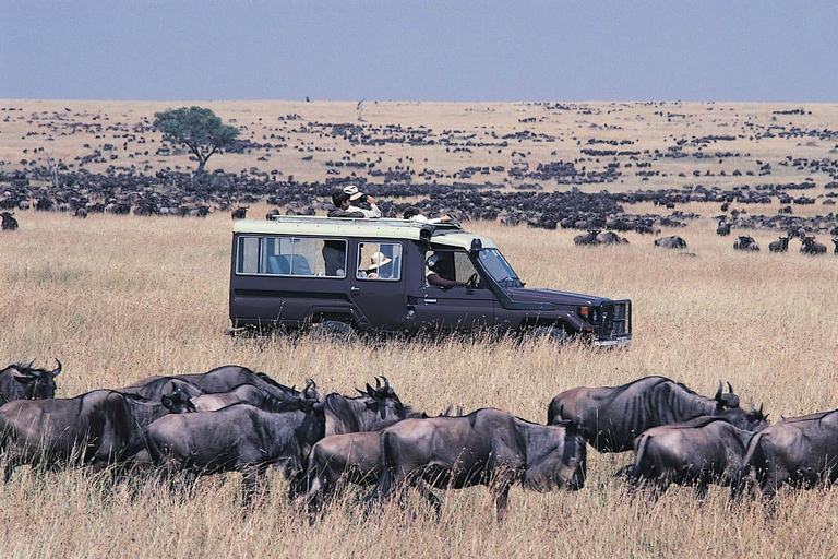 Tanzania: Safari de 5 días a medida con alojamientoSafari en globo