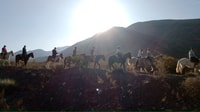 Mendoza, Horseback Riding in the Andes with Authentic BBQ - Housity