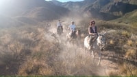 Mendoza, Horseback Riding in the Andes with Authentic BBQ - Housity