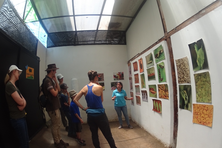 Z Quito: jednodniowa wycieczka z przewodnikiem po Mindo i dziką przyrodą