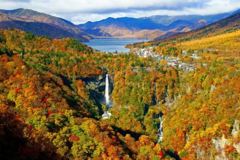 From Tokyo: Private Cultural Day Trip to Nikko UNESCO Sites
