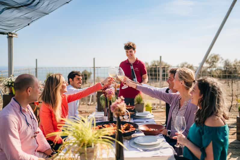 Barcelona Paella Cooking Class and Alella Winery Tour GetYourGuide