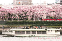 Río Sumida, crucero tradicional Yakatabune japonés - Hizvo