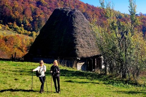Da Cluj-Napoca: tour guidato giornaliero delle montagne Apuseni