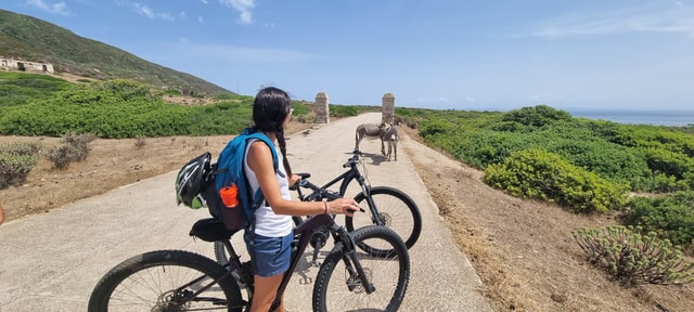 Visit From Porto Torres E-Bike Rental in Porto Torres