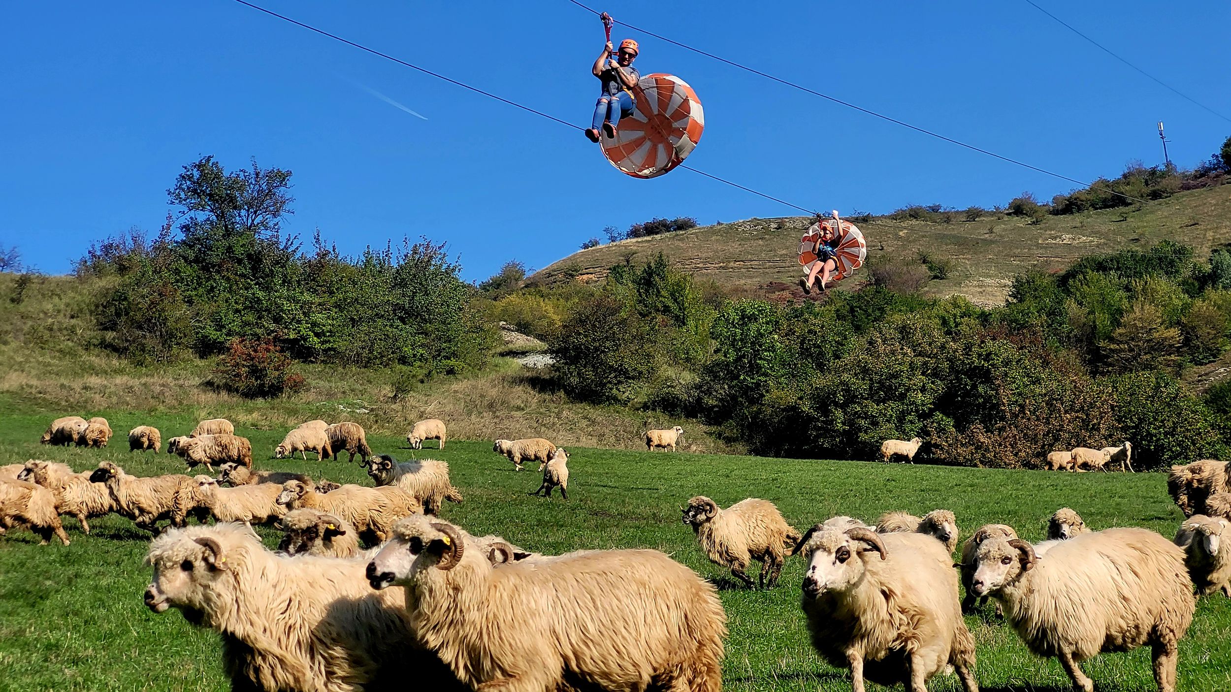 Cluj: Outdoor-Aktivitäten Tagesausflug mit Zip Line und Wanderung