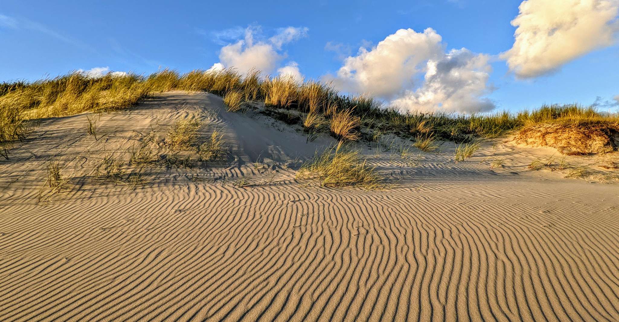 Private Sunset Tour of Issos Sandhills - Housity