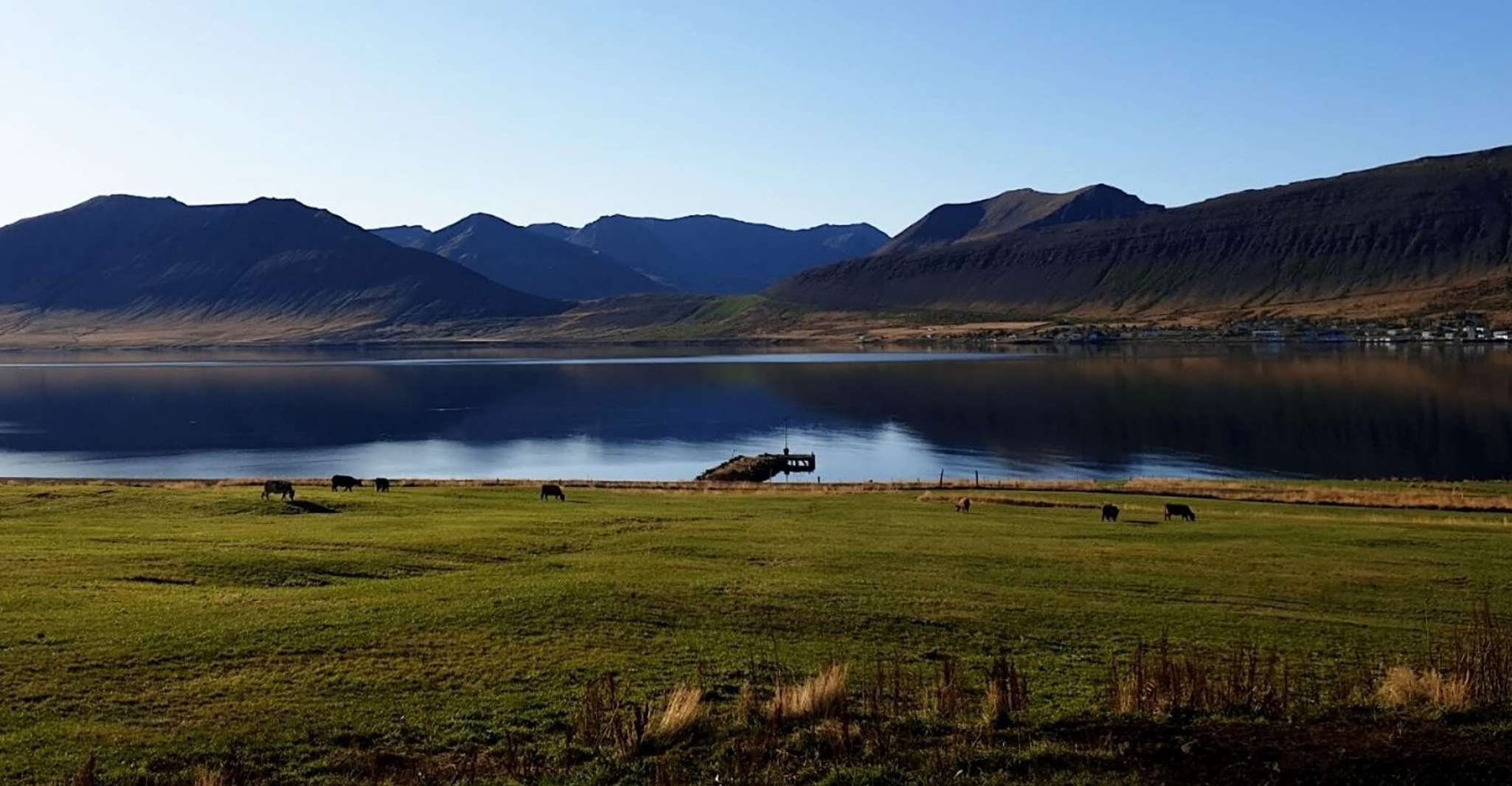 Isafjordur, Dynjandi Waterfall Tour and Icelandic Farm Visit - Housity