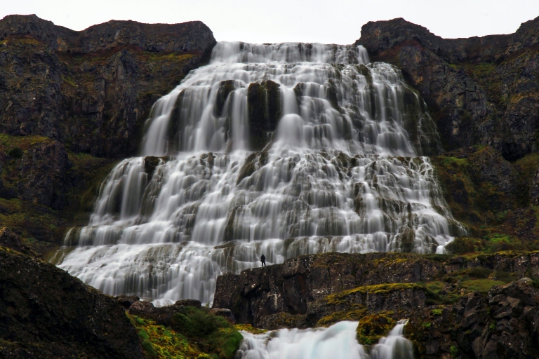 Isafjordur: Dynjandi-Wasserfall-Tour und Besuch einer isländischen Farm