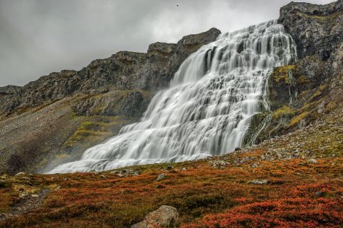 Isafjordur: Dynjandi Waterfall Tour & Icelandic Farm Visit