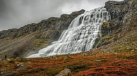 ISAFJORDUR, DYNJANDI Waterfall Tour et Visite de la ferme islandaise - Housity