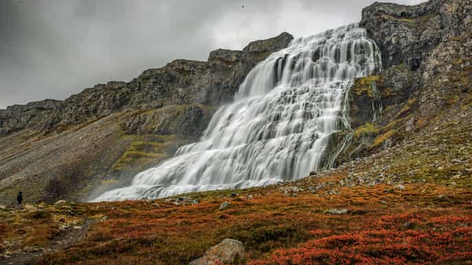Isafjordur: Excursión a la Cascada Dynjandi y Visita a una Granja Islandesa