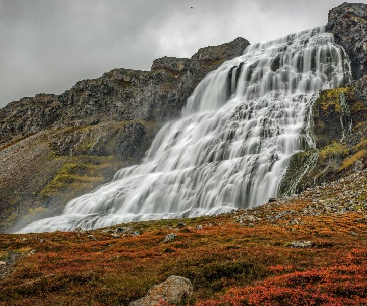 Isafjordur: tour della cascata Dynjandi e visita alla fattoria islandese