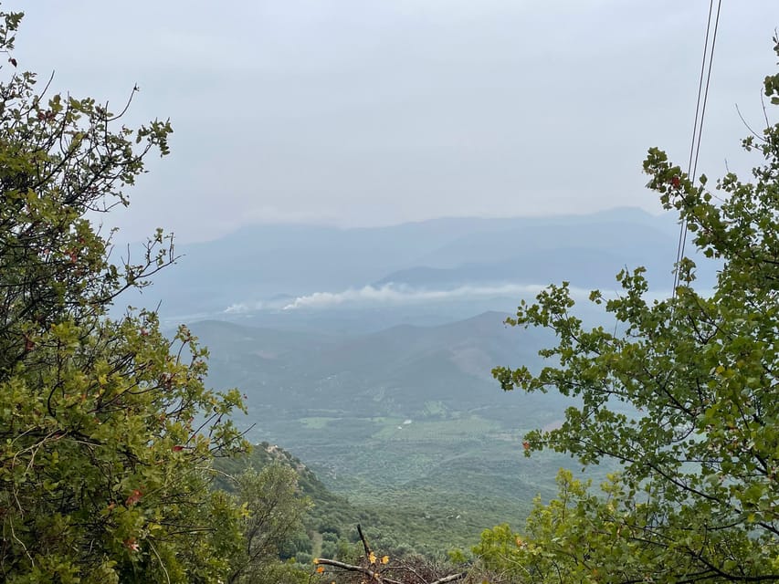 Desde Atenas Excursión guiada de un día por la región de Mesenia