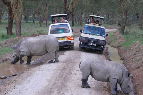 Nairobi National Park Game Drive & Giraffe Centre met Wifi