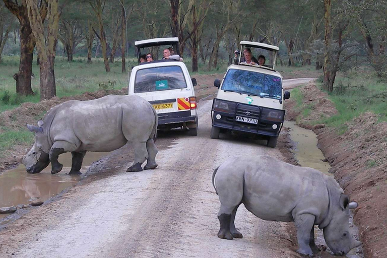 Nairobi National Park Game Drive & Giraffe Centre met Wifi