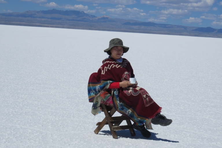 Uyuni: visite d'une journée dans les plaines salées