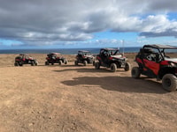 Lanzarote, Guided Can-Am Trail Buggy Tour - Housity