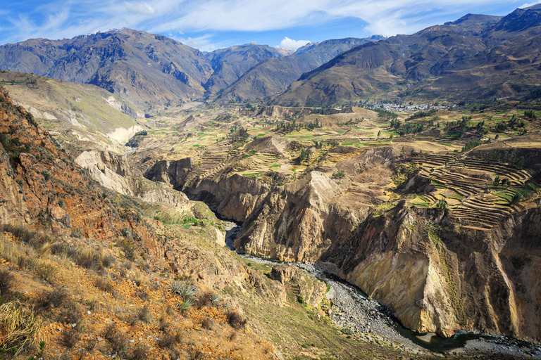 From Arequipa: Colca Canyon Day Trip with Condor Viewing Drop-off in Puno