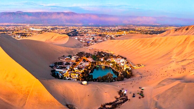 From Lima: Paracas and Huacachina Oasis Tour by Luxury Bus