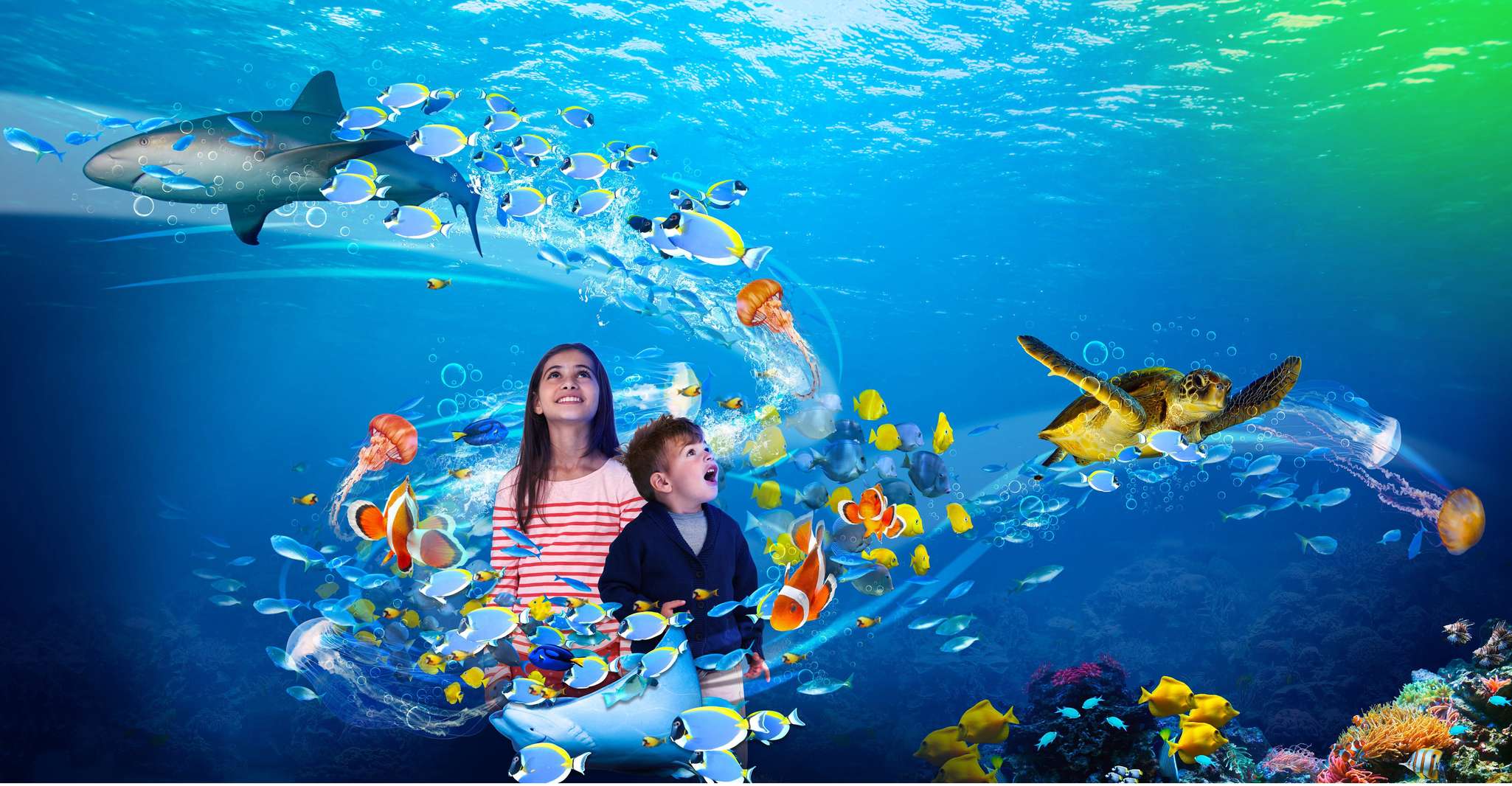 Scheveningen, The Hague, Sea Life Entry Ticket