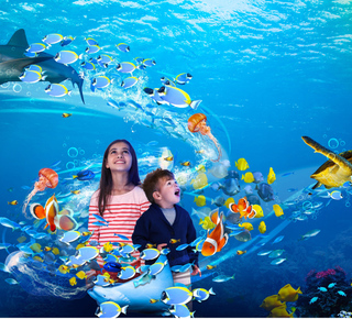 Sea Life Scheveningen: Billets