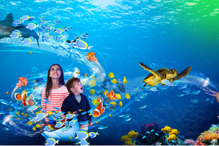 Sea Life Scheveningen: Tickets