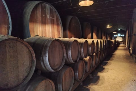 From Lisbon: Private Wine Tour with Wine and Food Tastings