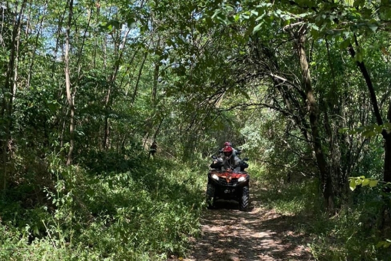 Desde Bucarest Excursión en quad ATV por bosques y colinas
