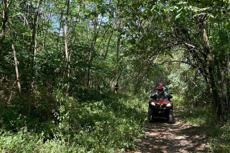 Depuis Bucarest : Excursion en quad dans la forêt et les collines