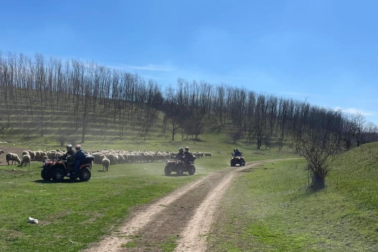 Depuis Bucarest : Excursion en quad dans la forêt et les collines