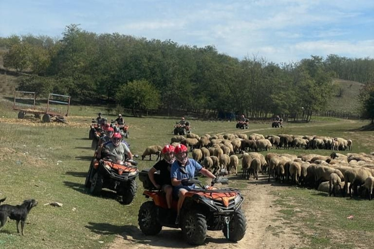 De Bucareste: excursão de quadriciclo ATV pela floresta e pelas colinas