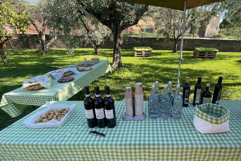 Bardolino: Lake Garda Oil Mill Tour with Olive Oil Tasting Tour in German