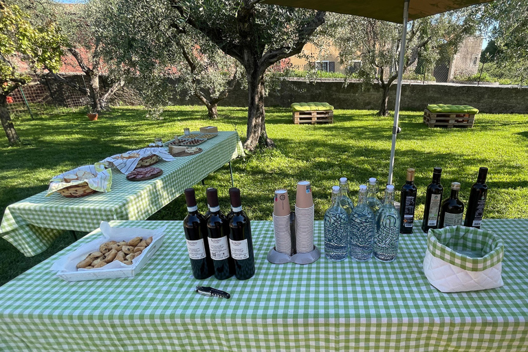 Bardolino: Lake Garda Oil Mill Tour with Olive Oil Tasting Tour in German