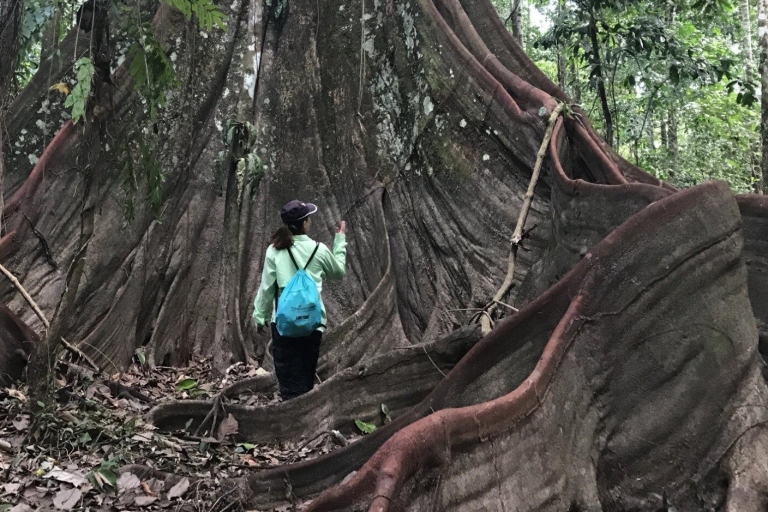 Leticia: geweldige driedaagse jungletours