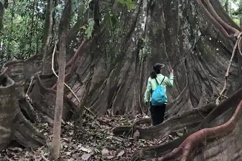 Leticia : Trois jours d'excursions étonnantes dans la jungle