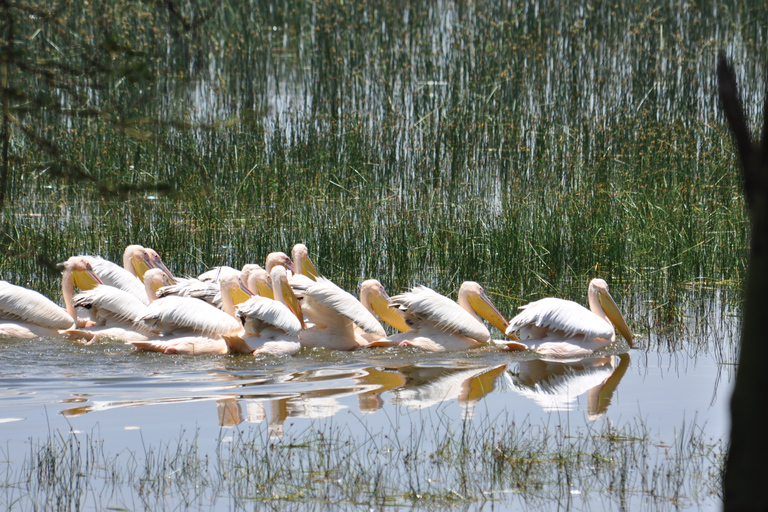 Lake Nakuru Nationalpark Tagesausflug von Nairobi