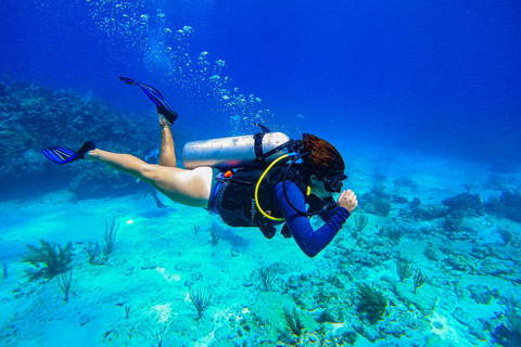 Cancun: Alla inkluderade dyklektioner (2 tankar)Cancun: Upptäck dykning med Padi dykkurs