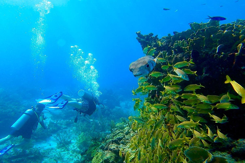 Cancun: Lezione di immersione (2 vasche) inclusa nel prezzoCancun: Scopri le immersioni con la lezione di immersione Padi