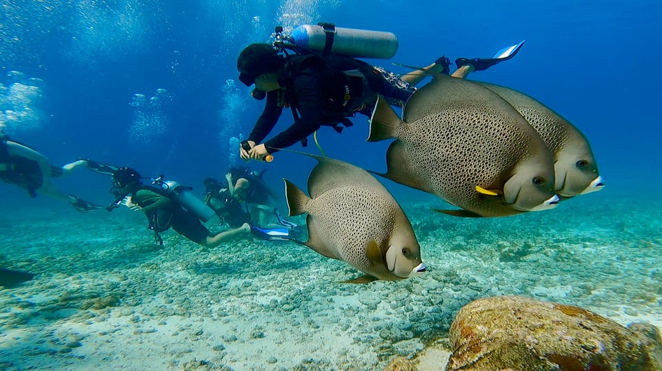 Cancun: Aquaworld Scuba Diving School