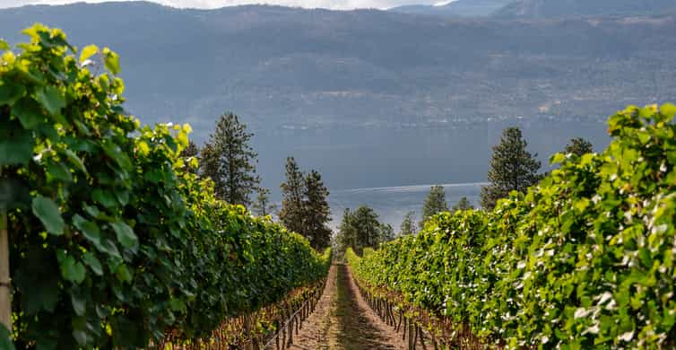 wine and cider tours kelowna