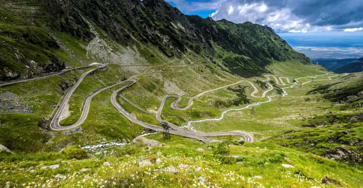 From Bucharest Transfagarasan Wild Bears Private Day Trip GetYourGuide